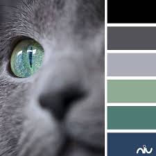 Cat Eye Fauna Color Palette Color Combos Color Harmony