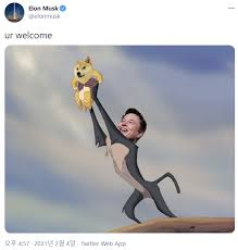 시총(비트코인 포함) 비트코인을 포함한 5. Ovcmkbhzaujv0m