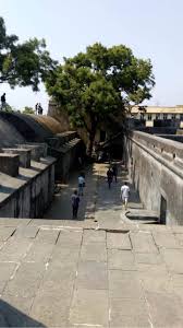 7 Majestic Forts to Explore in Mumbai ...