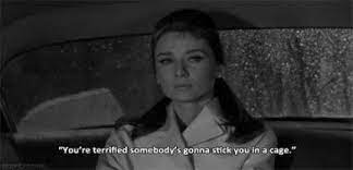 You never know what you're gonna get.” · 2. Love Quotes On Twitter Quote Aesthetic Breakfast At Tiffanys Movie Quotes Truths 52 Trendy Ideas Https T Co 00kjx3iu2z Https T Co Cow9c87upp Twitter