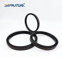 High Pressure PTFE Bronze Hydraulic Cylinder Rubber Oil Seals Piston Seal Spgw