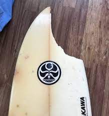 What is the worst shark bite? Shark Bites Woman Twice In Hawaii