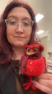 The hold that the birds have over me every year is unmatched. #ruby  #targetbird #bird #birb #target #Christmas