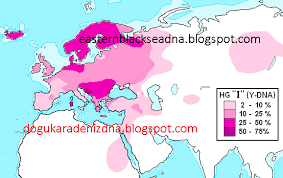 Like haplogroup g, j1 might have been of the principal lineages to bring domesticated animals to most of the ethnic groups in the north caucasus have between 20 and 40% of each haplogroup. Eastern Black Sea Dna What Is Y Dna How Can We Describe The Distribution Of Haplogroups In The World