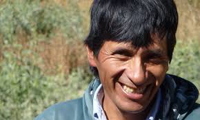 People, cultivate vines, Demeter