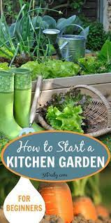 How To Start A Vegetable Garden For Beginners Vegetable Garden For Beginners Gardening For Beginners Organic Gardening Tips