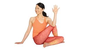 yoga poses asanas basic to advanced