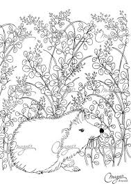 Masja S Hedgehog Coloring Page Summer Coloring Pages Coloring Pages Animal Coloring Pages