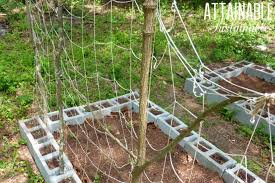 Hammer, wood, screws or nails, string, knowledge of the needs of the plant you want to grow, imagination. Diy Trellis Ideas For Growing A Vertical Garden On A Budget