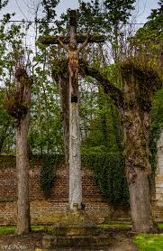 「allintext:"Powered by vBulletin" ~succession」的圖片搜尋結果