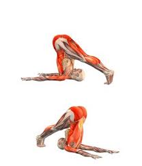 Halasana Plow Pose Yoga Com Esercizi Per La Postura Video Di Yoga Esercizi Di Stretching