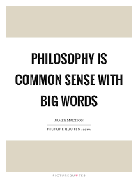 Philosophy Is Common Sense With Big Words Picture Quotes