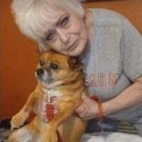 Barbara Lilly Obituary