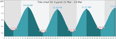 cygnet tide times tides forecast fishing time and tide