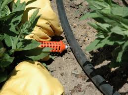 Area and thereby has helped in achieving. How To Install A Drip Irrigation System How Tos Diy