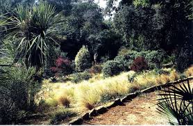Gilles Clement Le Rayol Jardin Mediterraneen Gilles Clement Paysagiste