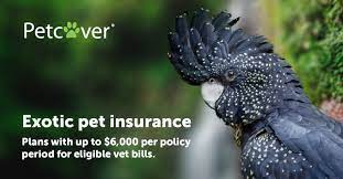 Our veterinary pet insurance can even pay the bill in minutes so you aren't waiting for a reimbursement check. Exotic Pet Insurance From Petcover Australia