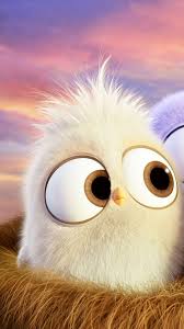 Crazy Bird From Finding Dory Cute Angry Bird Tap To See More Of The Cutest Cartoon Collection Wallpapers Mobile9 Cute Emoji Wallpaper Cute Disney Wallpaper Cute Cartoon