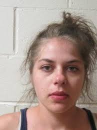 Pair arrested in Plainfield drug search