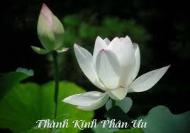 TƯỞNG NIỆM- PHÂN ƯU CỐ CHỦ TỊCH VŨ VĂN TÙNG – PEN Vietnam