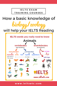 Ielts Reading History Of The Tortoise Ielts With Fiona