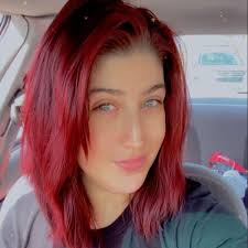 The Lazy Daisy Bookshop