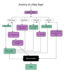 Anatomy Of A Baby Rager Baby Chart Baby Feeding Baby Care