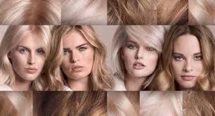 Introducing The We Love Blonde Program By Goldwell Hair Care