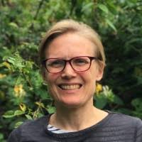 AI and the Environment: Green Web Foundation Briefings"