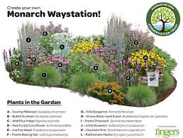 While butterflies are attracted to sunny areas, it's also a good idea to situate the containers near a wall to block. Butterfly Lady This Garden Plan By Ringers Landscape Facebook