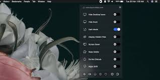 How To Hide Unhide Desktop Icons From The Menu Bar On Macos Desktop Icons Mac Os Icon