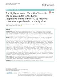 Ivan wang and his relationship with the 3 trainees according to chinese social media sites, ivan and amu met while travelling and have been good friends ever since. Pdf The Highly Expressed 5 Isomir Of Hsa Mir 140 3p Contributes To The Tumor Suppressive Effects Of Mir 140 By Reducing Breast Cancer Proliferation And Migration