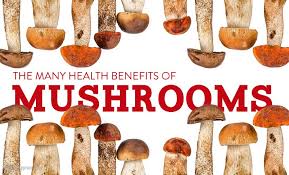 11.10.2021 · mushrooms health benefits includes preventing anemia, a good source of vitamins, supporting healthy bones, promotes healthy immune system, supports skin and hair health, support weight loss, manage blood pressure, manage diabetes, support healthy hair, helps prevent breast cancer, and helps in cholesterol management. 5 Amazing Health Benefits Of Mushrooms You Didn T Know Yogiapproved