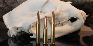 25 06 Vs 6 5 Creedmoor Vs 270 The Results Might Surprise