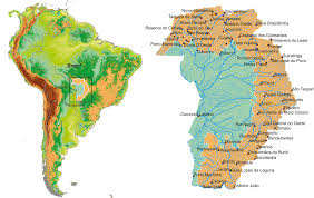 The paraguay river is a major river in south central south america, running through brazil, bolivia, paraguay and argentina. Primates Of The South American Pantanal Wetland Seasonal Effects On Their Habitats And Habits Chapter 22 Primates In Flooded Habitats