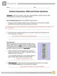 Synthesis gizmo answer key rna and protein. Rna Protein Synthesis Translation Biology Rna