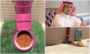 Cats may also stop eating if there are changes in their routine or environment that bring on stress. Saudi Animal Lovers Find Purrfect Feeding Solution For City S Hungry Stray Cats Arab News