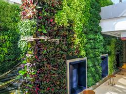 urban design plantenwand voor binnen en buiten green wall design shade plants indoor plant wall