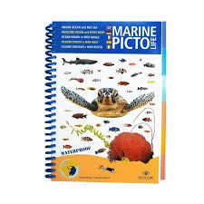 Pictolife Fish Id Guide Book For Red Sea And Indian Ocean