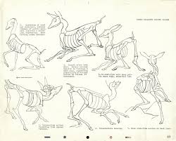 There's a beautful color table of contents showing each animal documented in the book. How To Draw Animals Feltmagnet