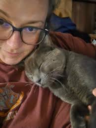 URGENT Pet Alerts Flooded Our Feeds This Week! 🐾** 1. **LOST DOG ALERT** A  sweet grey boy named Bluey is missing near Hubert White Rd