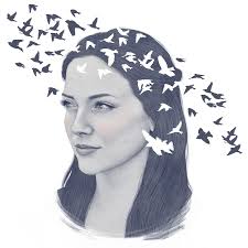 Veronica Park Illustration