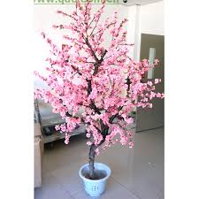 Check spelling or type a new query. Small Cherry Blossom Tree Pictures Images Photos On Alibaba