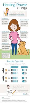 The Healing Power Of Dogs Pets Dog Care Doggy