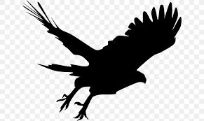 Bald Eagle Silhouette Hawk Clip Art Png 640x489px Bald Eagle Accipiter Beak Bird Bird Of Prey Bald eagle in flight with mendenhall glacier in background tongass national forest inside passage southeast alaska summer composite. favpng com