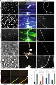 Open it up with online editor and begin adjusting. Biomolecular Condensates Undergo A Generic Shear Mediated Liquid To Solid Transition Nature Nanotechnology