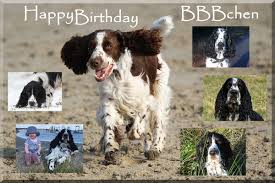 Since august 2012, we've been offering dog daycare, boarding, training and spa services to the residents of elsmere, wilmington, prices corner, greenville and hockessin. 2016 Felicitous