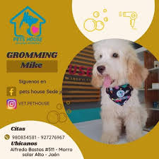 PETS HOUSE VETERINARIA JAÉN