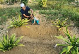 Merasa kesepian anak itu memutuskan untuk menemani ayahnya yang sudah dibungkus kain kafan dan terbujur kaku sayangnya malah. Ramai Sebak Lihat Keriangan Anak Kecil Ini Main Pasir Kubur Ibu Bapanya Enggan Pulang Belum Sempat Apa Apa Arfan Terus Panggil Bu Bu Bu Viral Mstar
