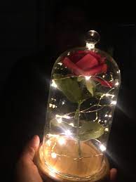 Finished diy project submissions without adequate details / photos will be removed. Diy Beauty And The Beast Enchanted Rose I Made For My Girlfriend Somethingimade